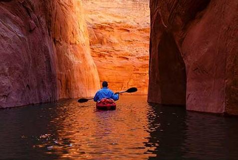 2024 Global Insurance Report