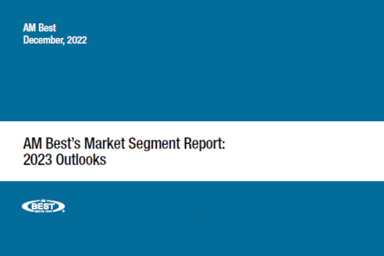 Market Segment Report: 2023 Outlooks