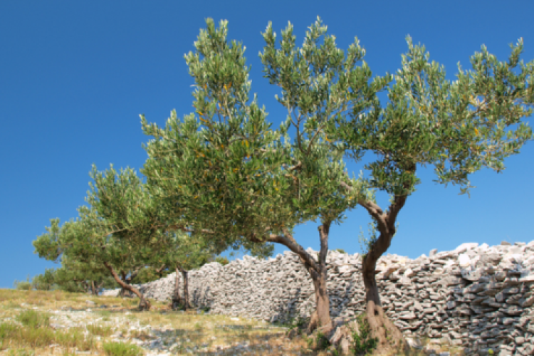 Protection Gaps: A Customer, Distribution, and Product Lens