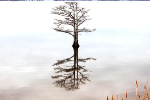 Stakeholder Capitalism - Unlocking Tomorrow's Opportunities