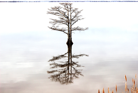 The Year of a New Beginning – From ESG Commitments to Action