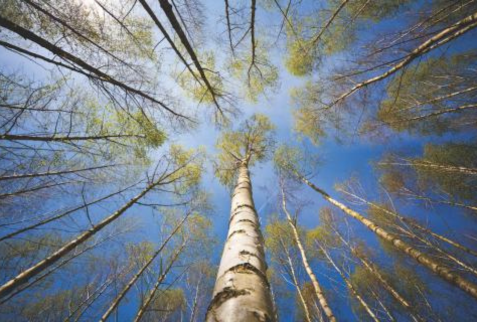 Supply, demand or irrelevance? A European protection gap