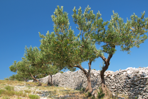 Protection Gaps: A Customer, Distribution, and Product Lens