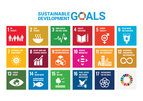 Sustainable Development Goals (SDGs) Fact Sheet series ...