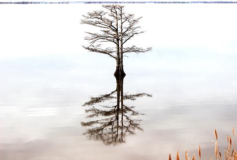 Stakeholder Capitalism – Embracing Today’s Opportunity