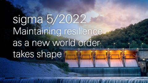 Maintaining resilience as a new world order takes shape