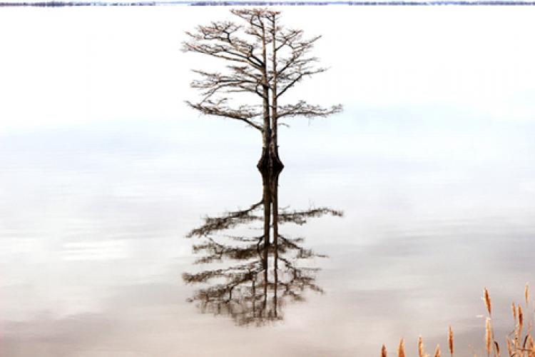 Stakeholder Capitalism – Embracing Today’s Opportunity