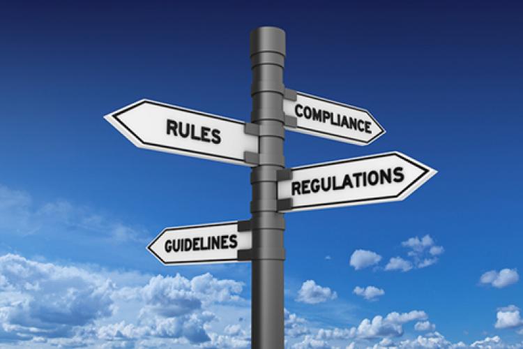 Insurance Regulators as Market Developers