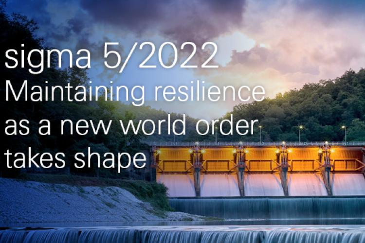 Maintaining resilience as a new world order takes shape