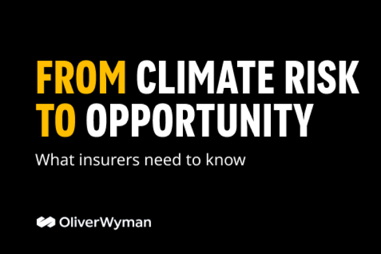 From Climate Risk to Opportunity