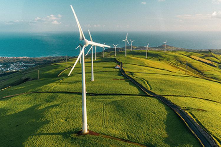 Sharing progress and inspiring change