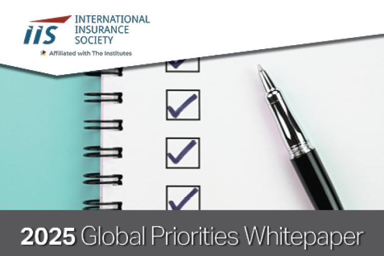 2025 Global Priorities Survey Whitepaper