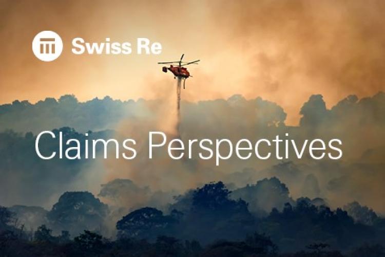 Claims Perspectives