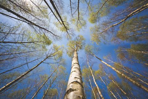 Agile Working: is it time for the insurance industry to embrace agility?