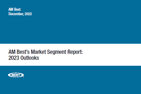 Market Segment Report: 2023 Outlooks