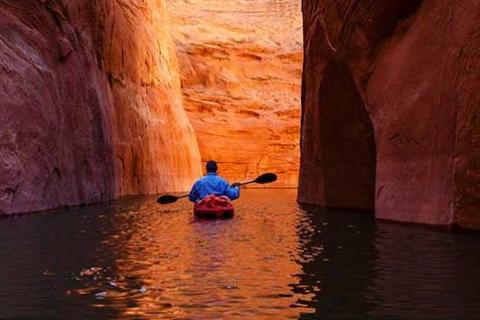 2024 Global Insurance Report