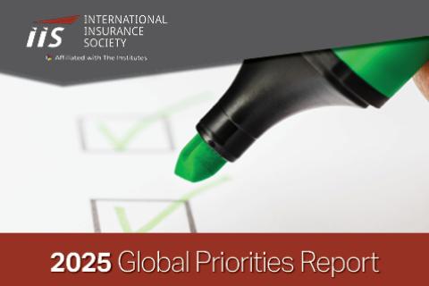 2025 Global Priorities Survey