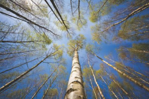 Supply, demand or irrelevance? A European protection gap