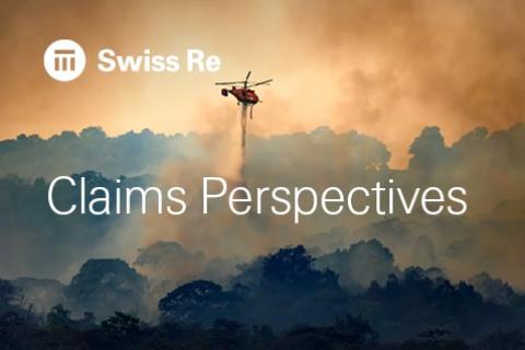 Claims Perspectives